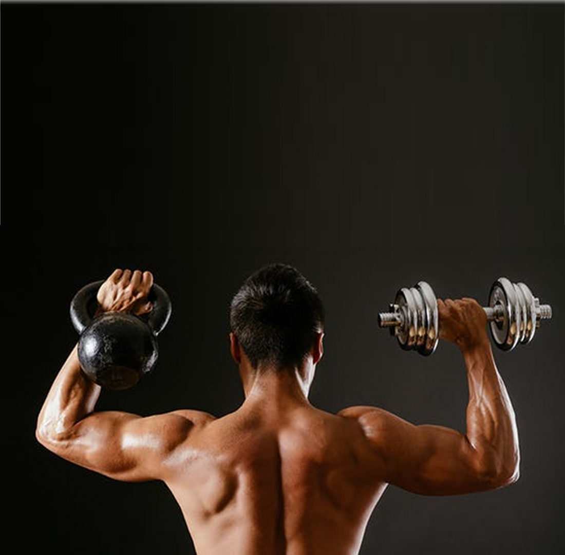 Dumbbell Kettlebell Upper Body Builder