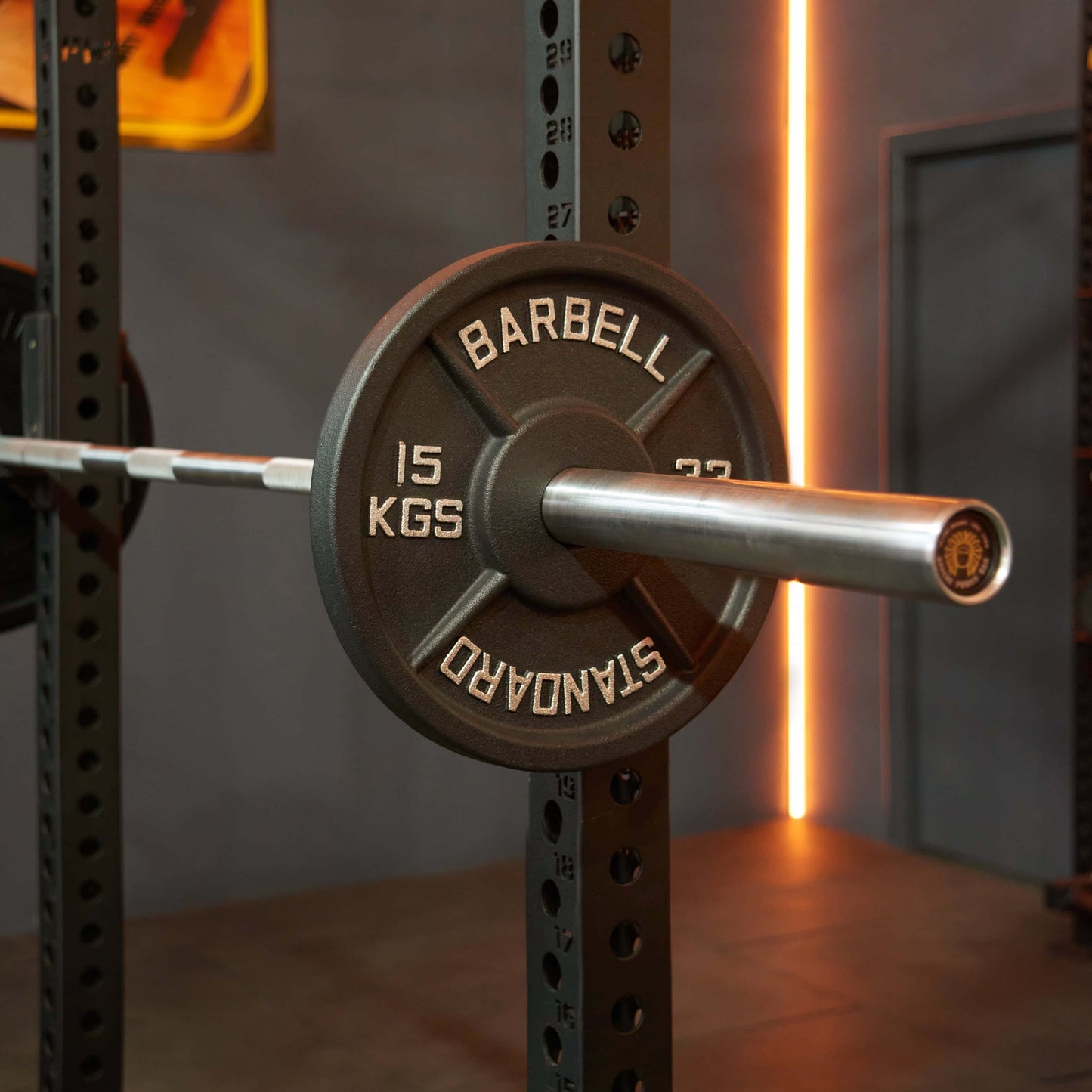 Cast Iron Weight Plates (Pair)