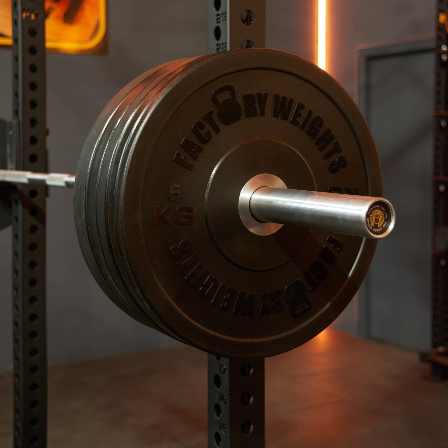 Urethane Bumper Plates (Pair)