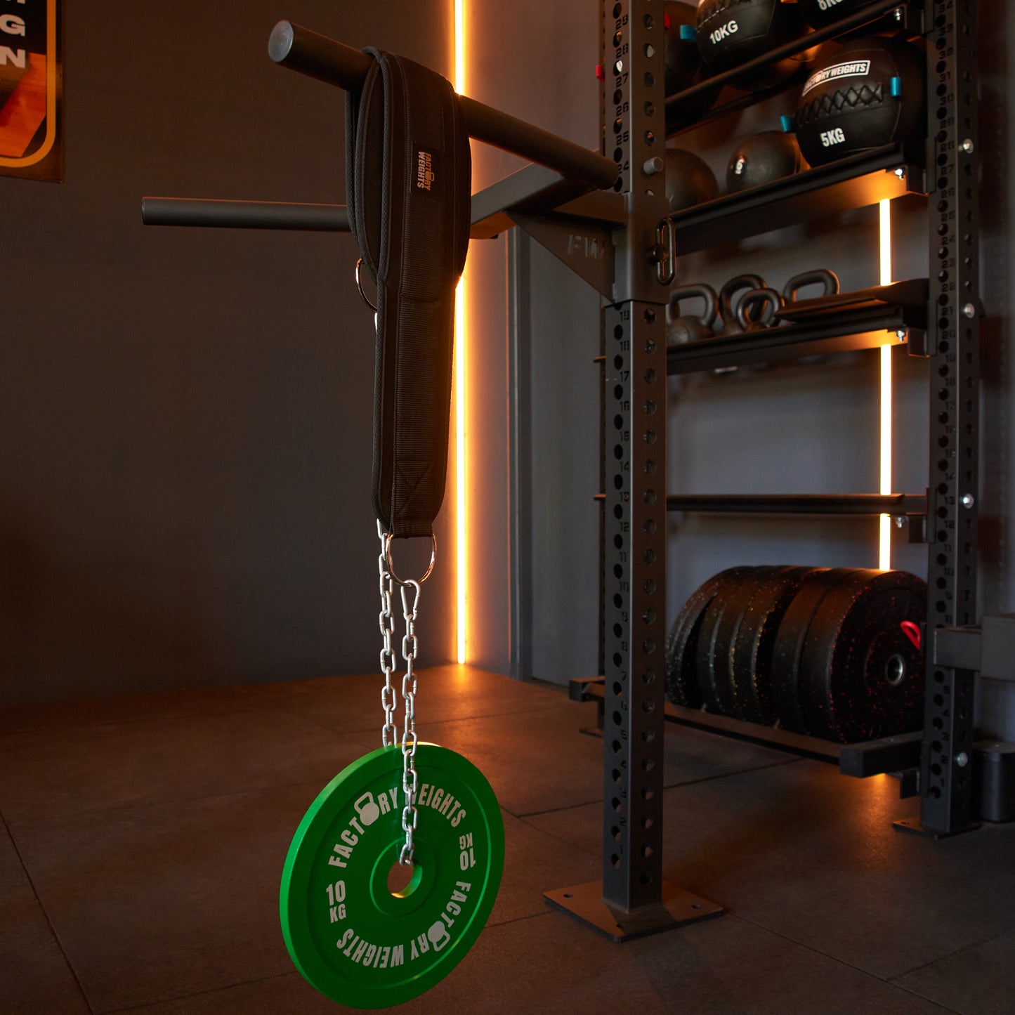 Factory Weights Dip Belt