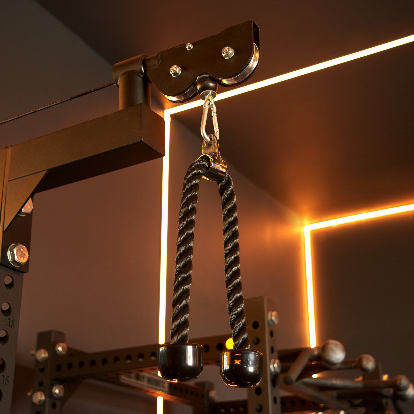 Double Tricep Rope Pulldown Attachment