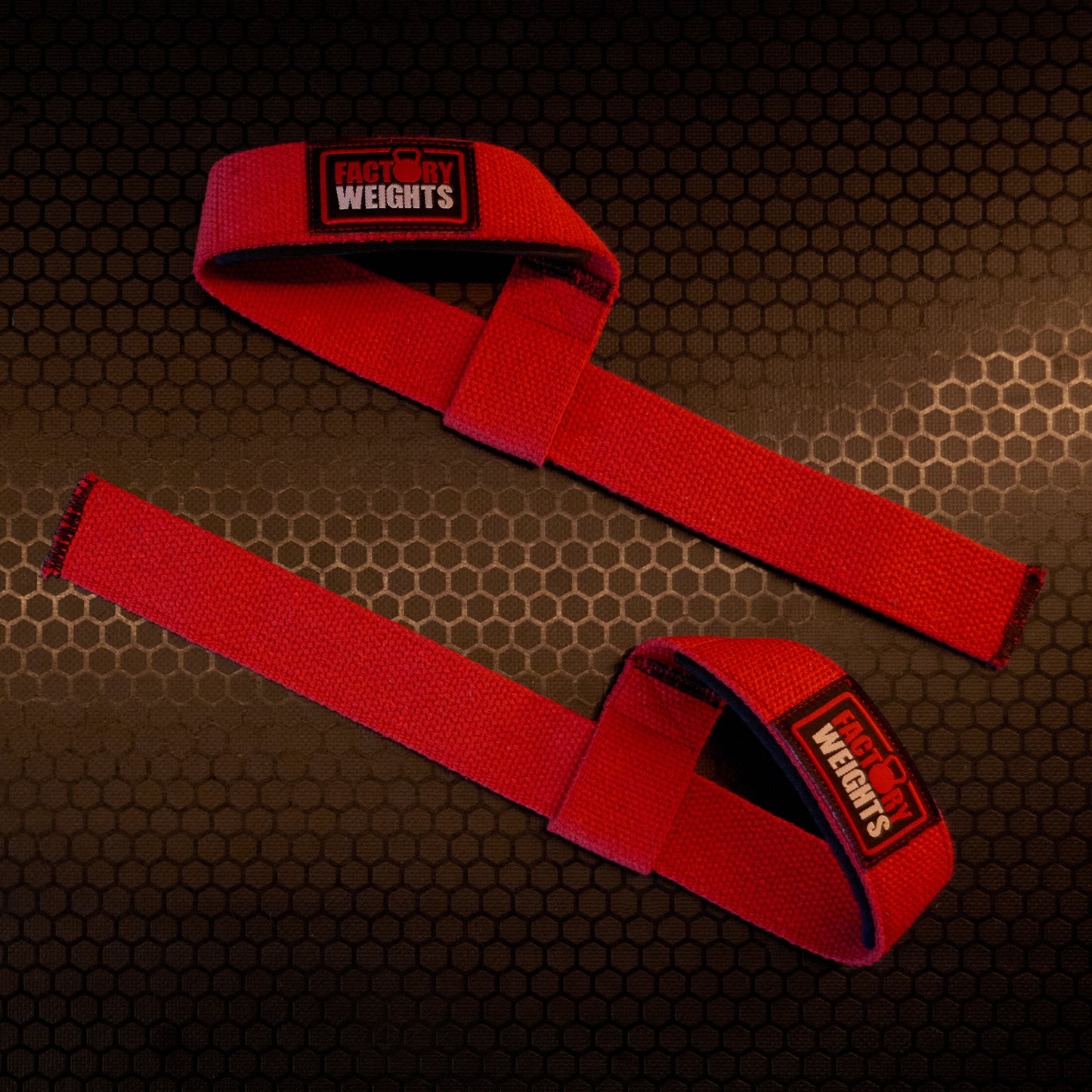 FW1 Lifting Straps