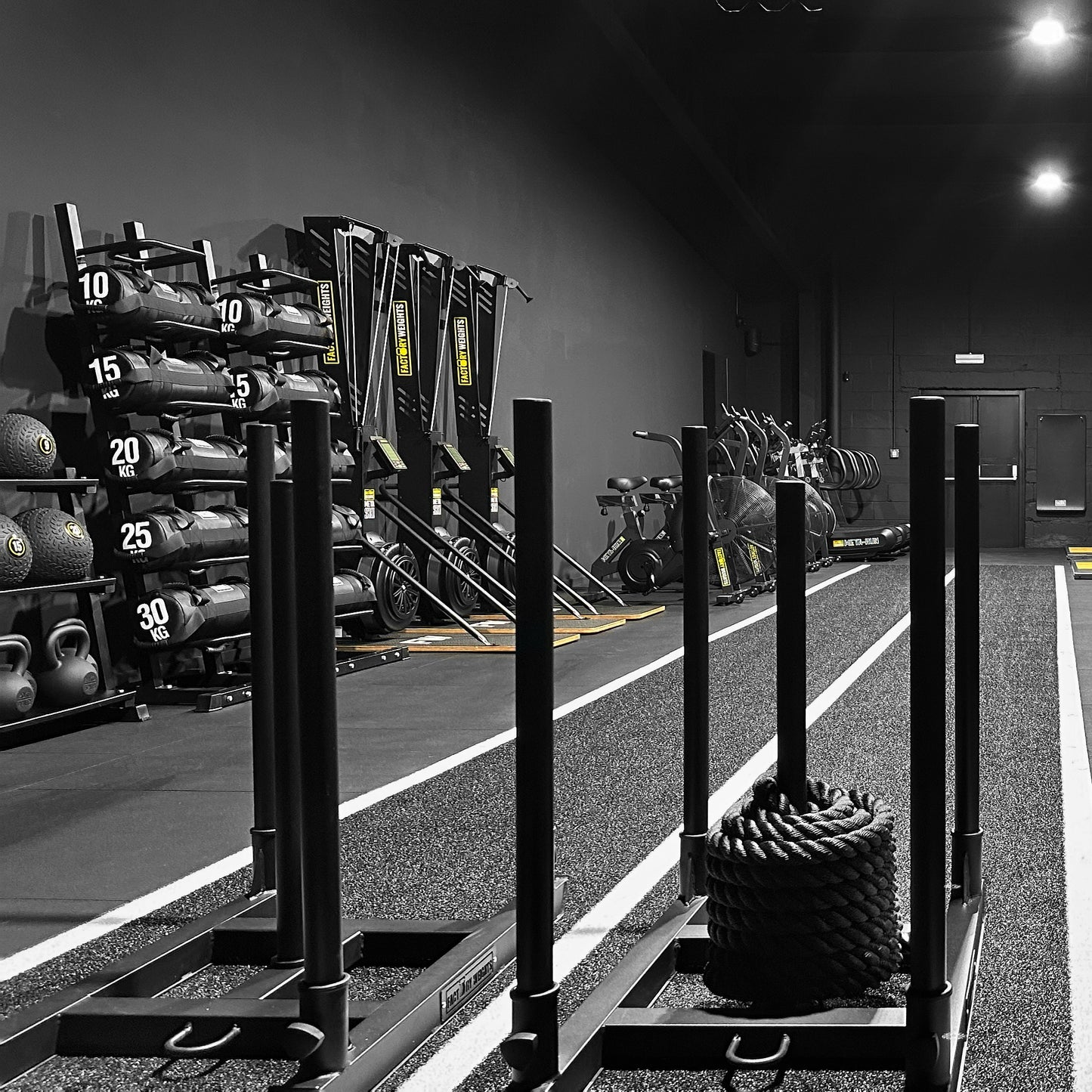 Pro Weight Sled - 4 Post