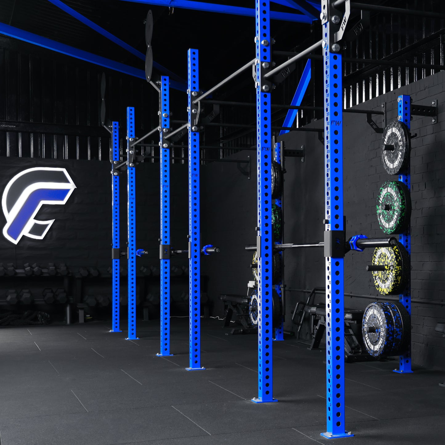 Pro Wall-Mounted Gym Rig