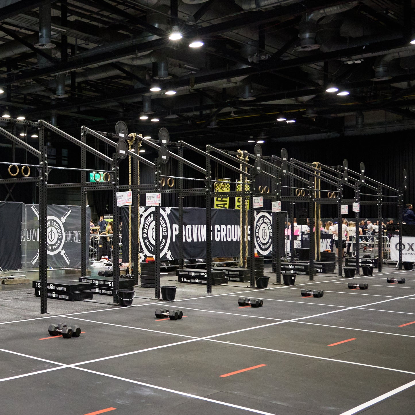 Pro Freestanding Gym Rig
