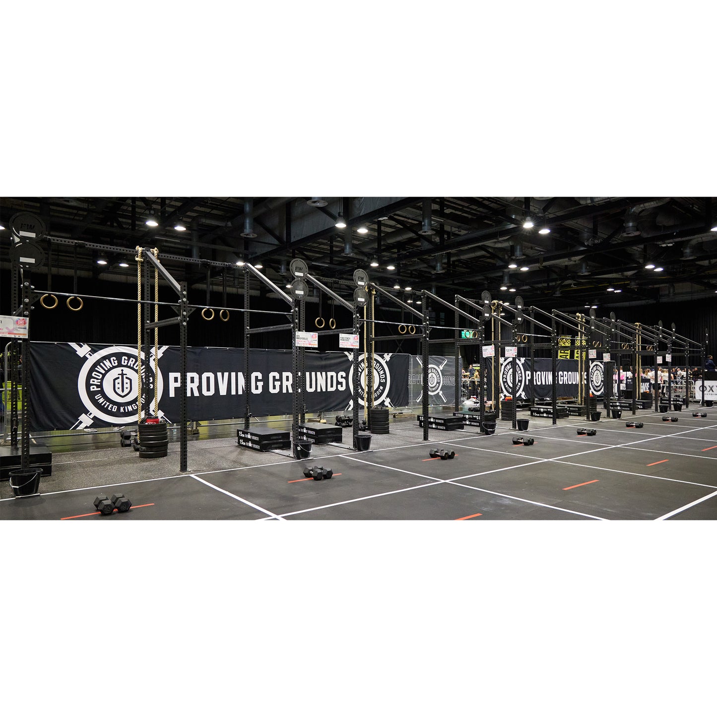 Pro Freestanding Gym Rig