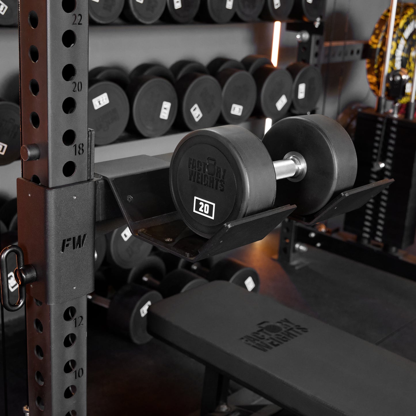 Dumbbell Spotter Attachment