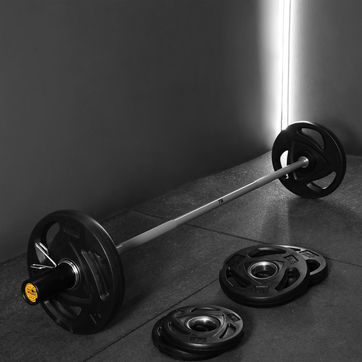Micro Barbell - Junior Weightlifting Bar