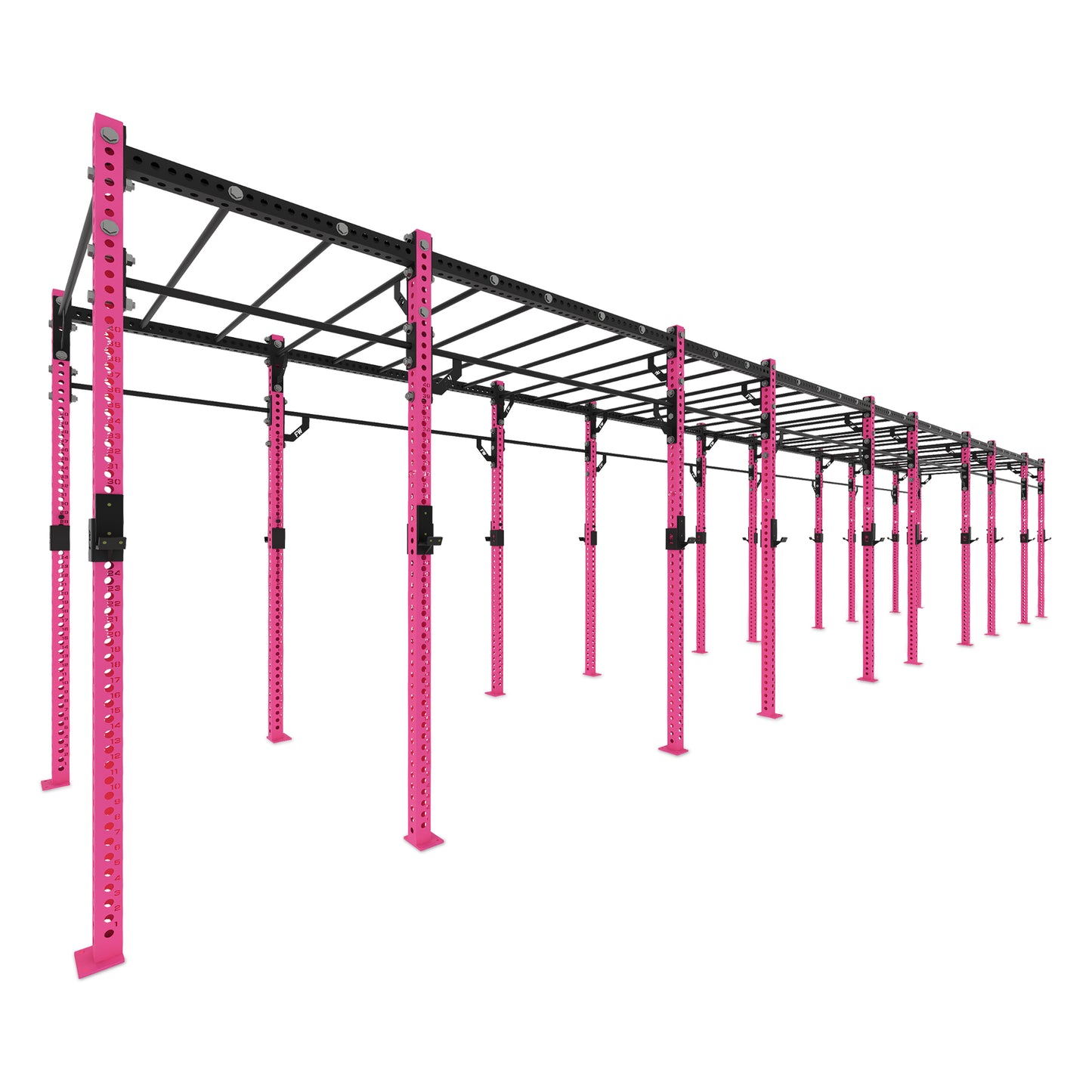 Monkey Bar Freestanding Rig