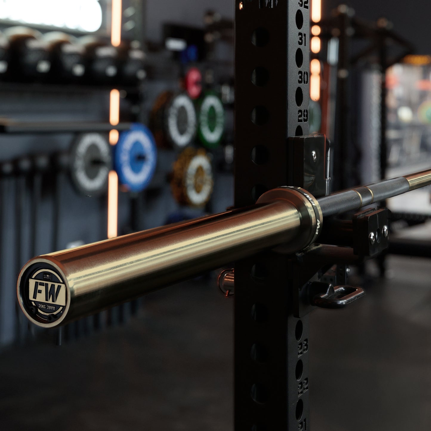 The FW Bar - Multipurpose Barbell