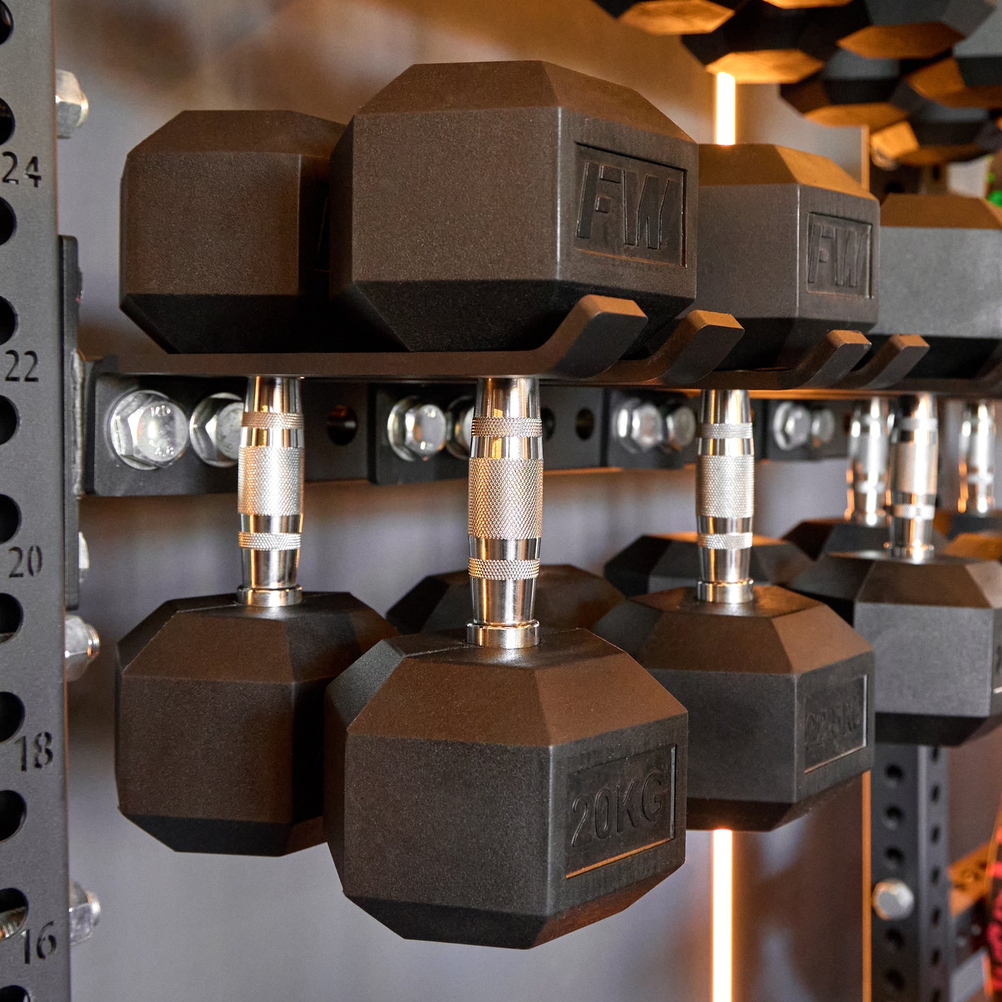Rack Mounted Hex Dumbbell Hanger