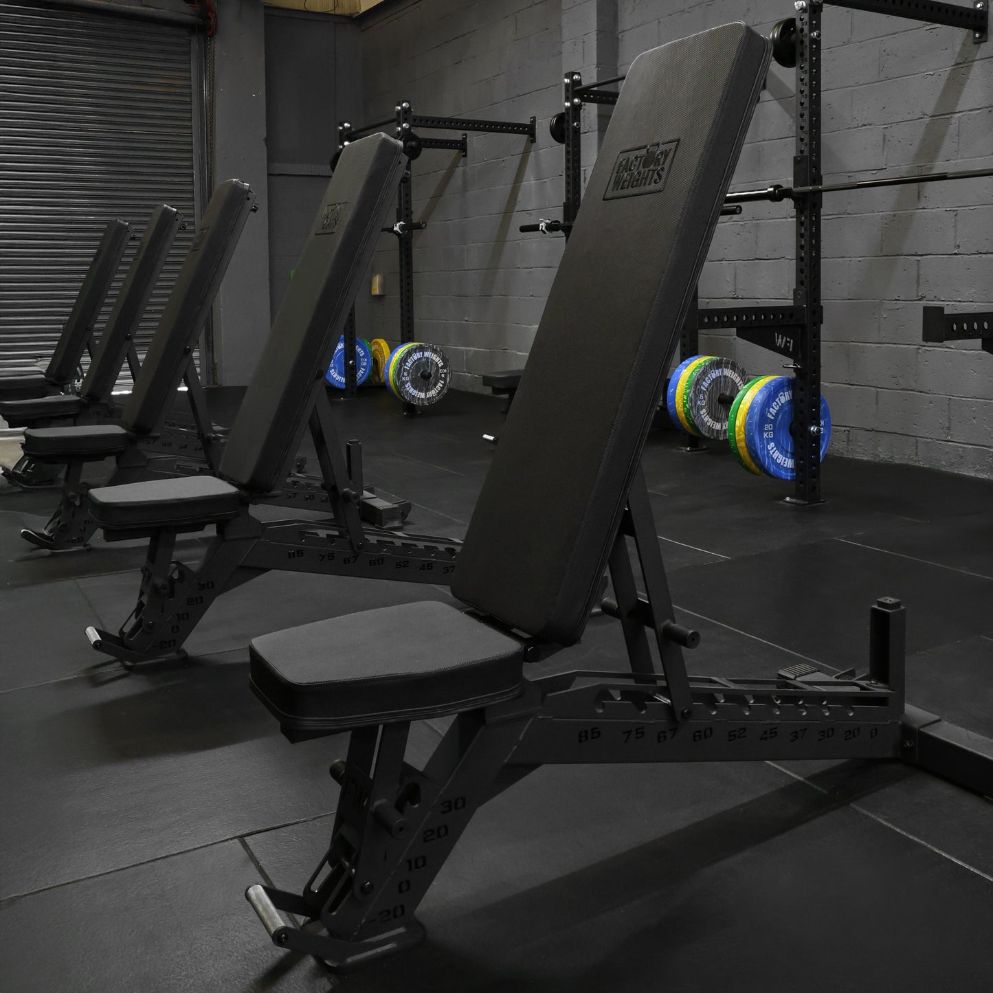 Omni Decline Adjustable Ab Bench