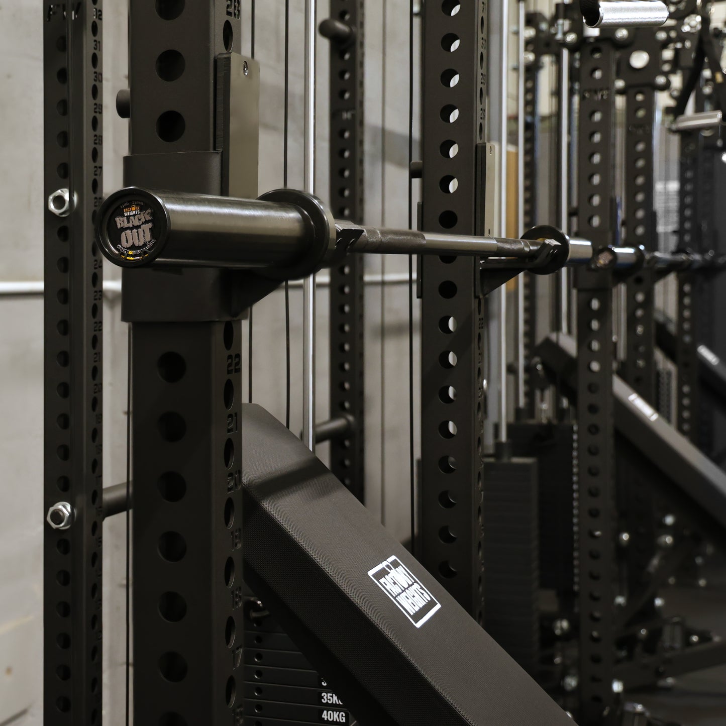 Women's Black-Out Barbell