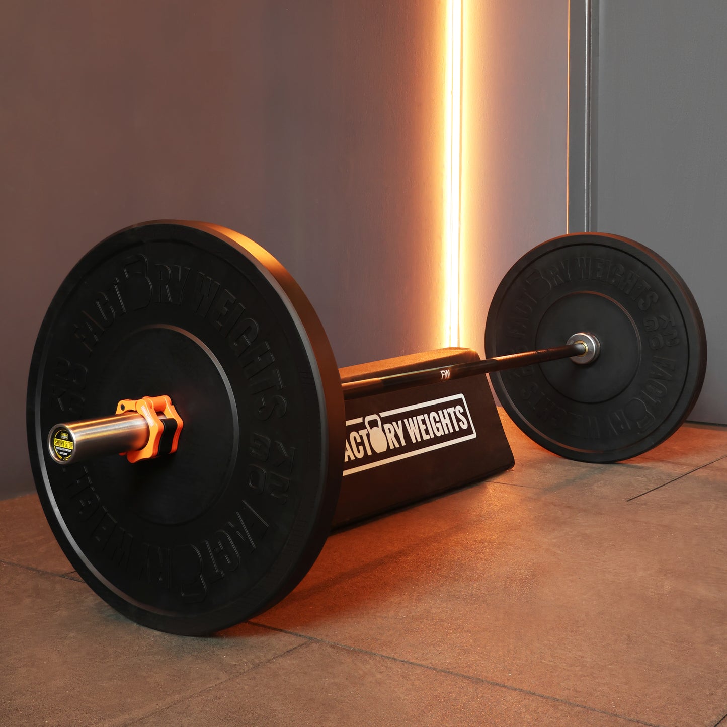 Oversized Hip Thrust Bumper Plates 20kg Pair