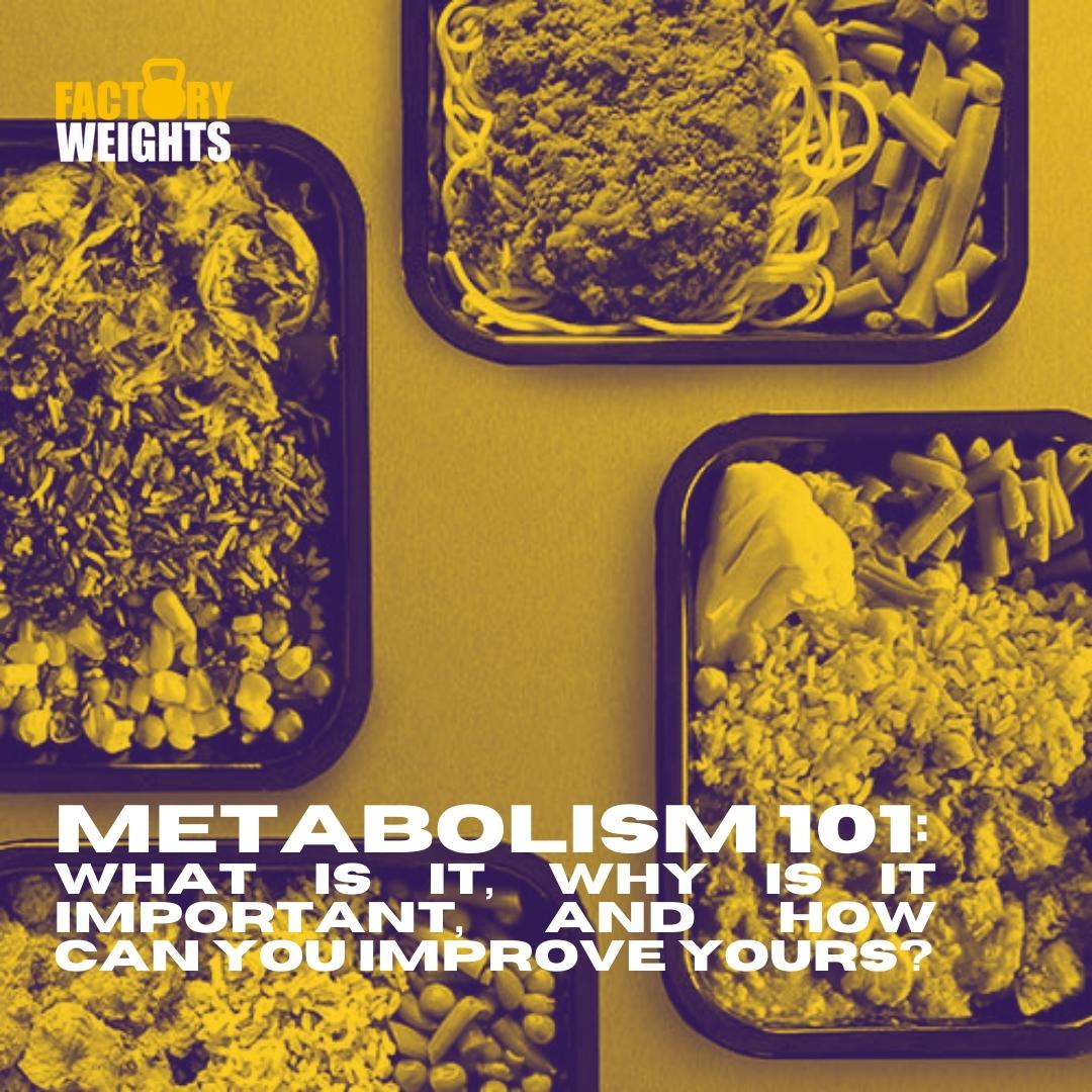Metabolism 101: What is it, why is it important, and how can you improve yours?