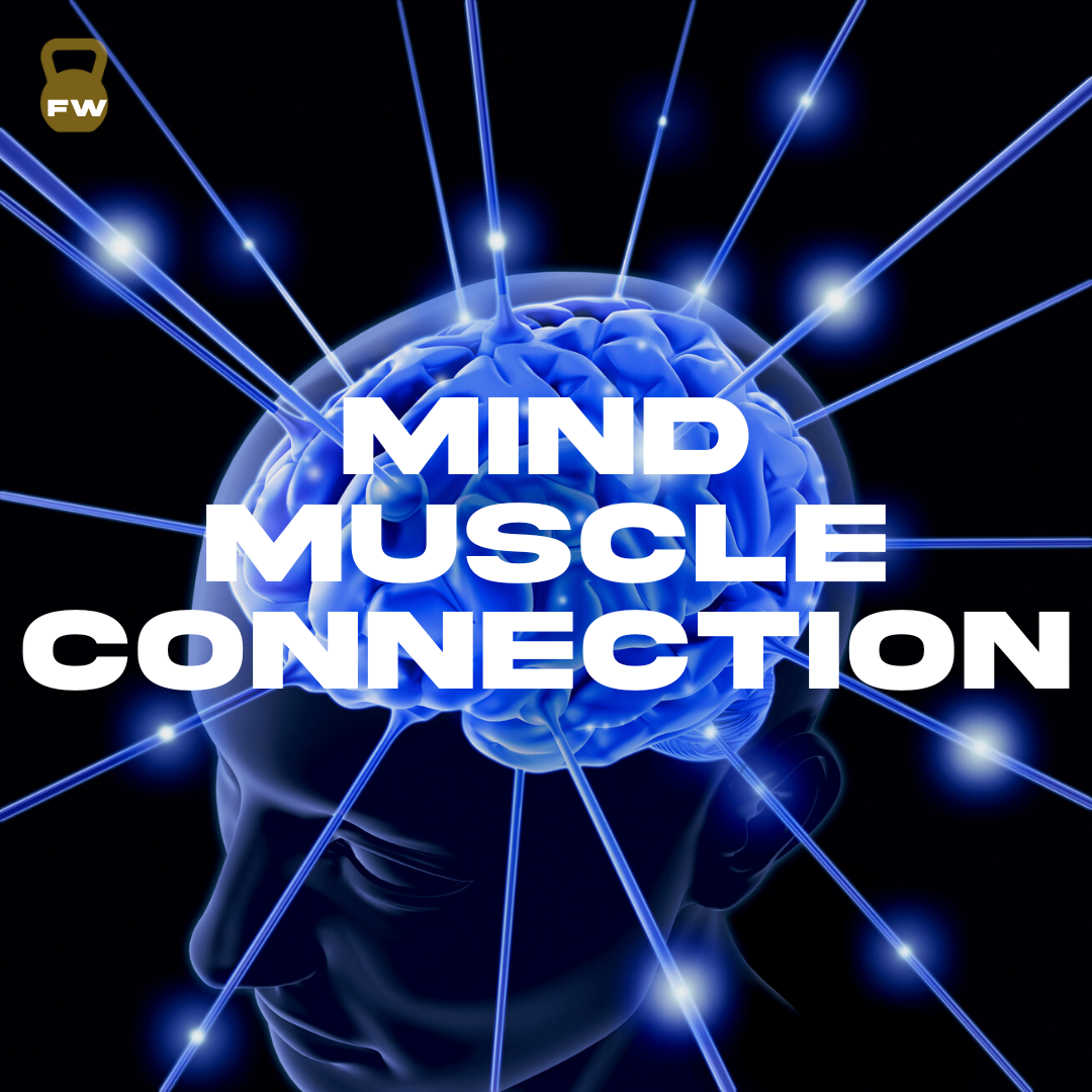 Muscle Mind Mind-Muscle Connection - Peak Performance | Factory Weights