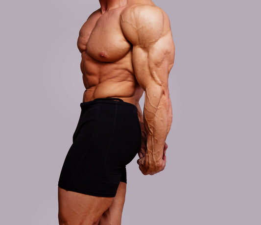 Muscle growth: how does it work?