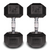 17.5kg Dumbbells Pair