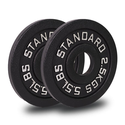 Cast Iron Weight Plates (Pair) 2 X 2.5KG 