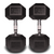 27.5kg Dumbbells Pair