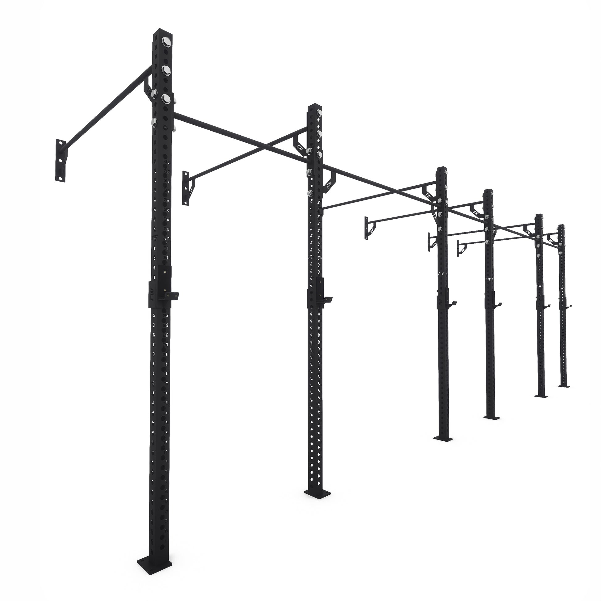 Pro Wall-Mounted Gym Rig 3 Bay Black 