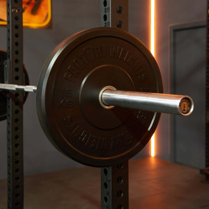 Black Bumper Plates (Pair) 