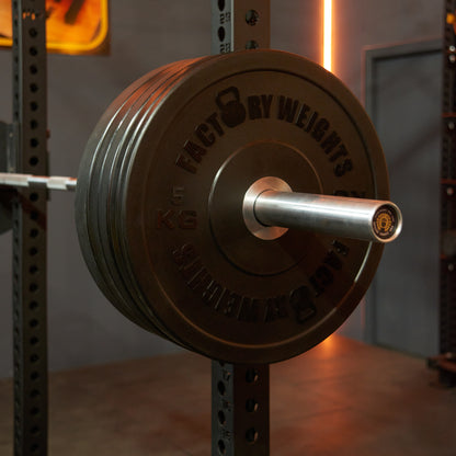 Urethane Bumper Plates (Pair) 