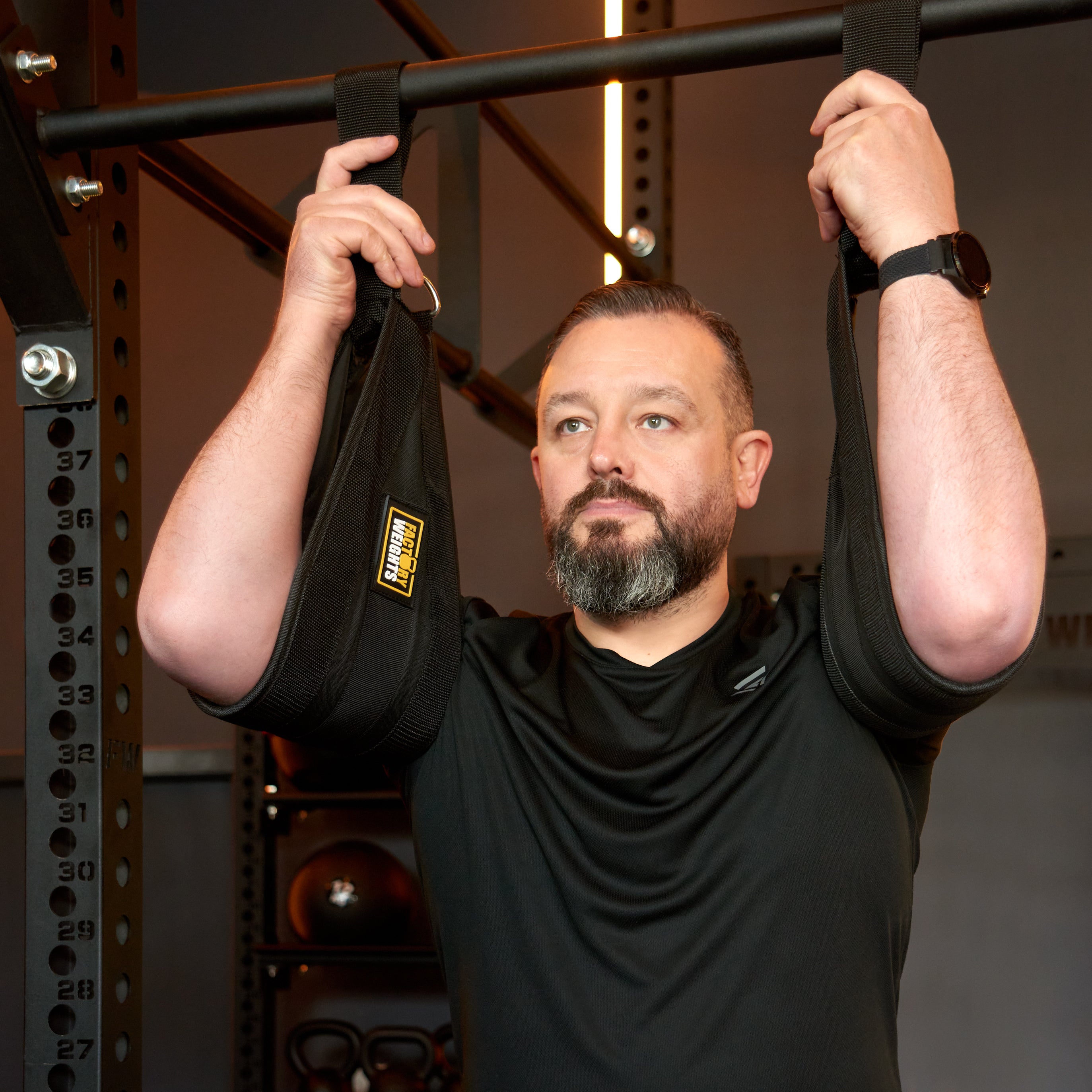 Ab Slings Core Strength Training Gear Factory Weights