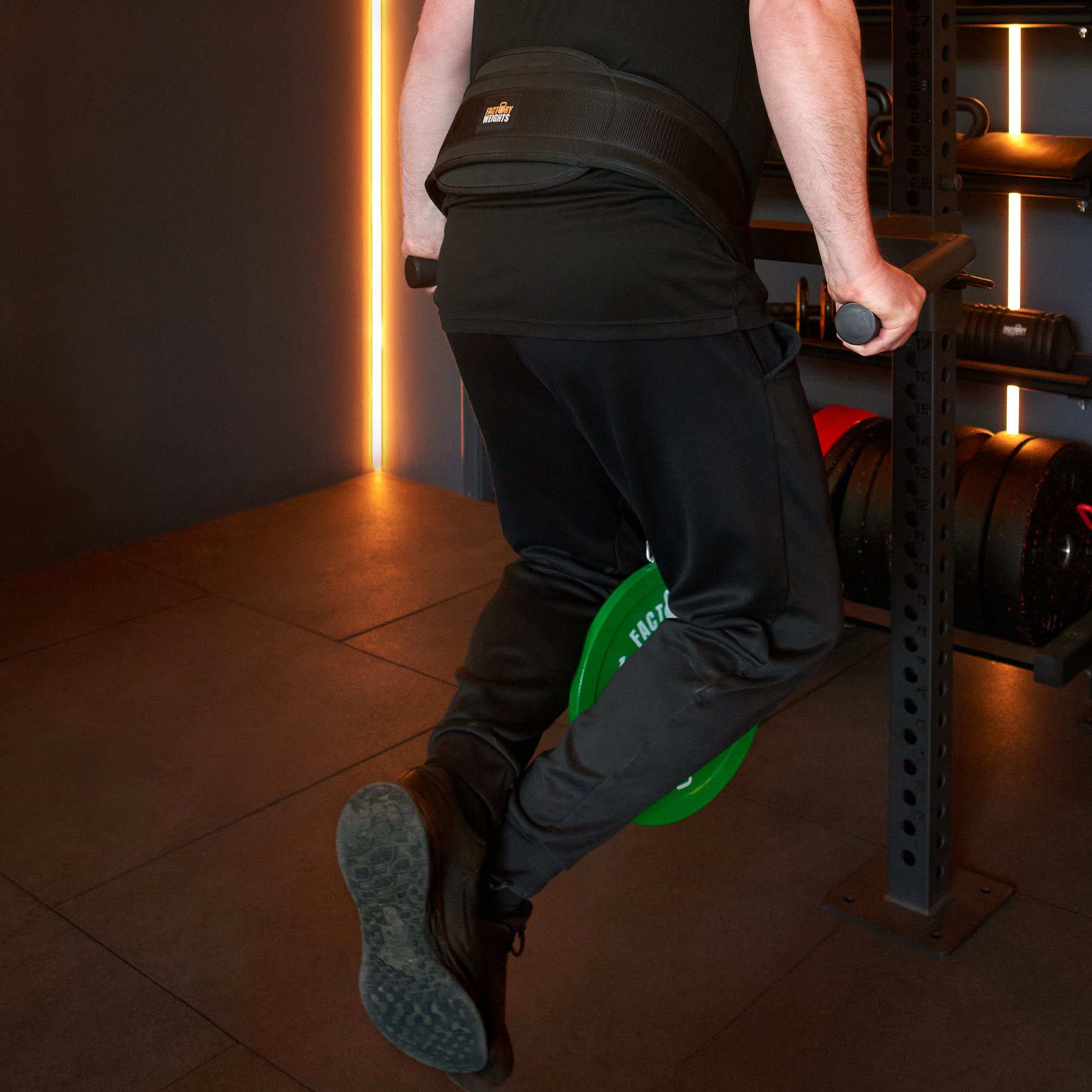 Factory Weights Dip Belt 