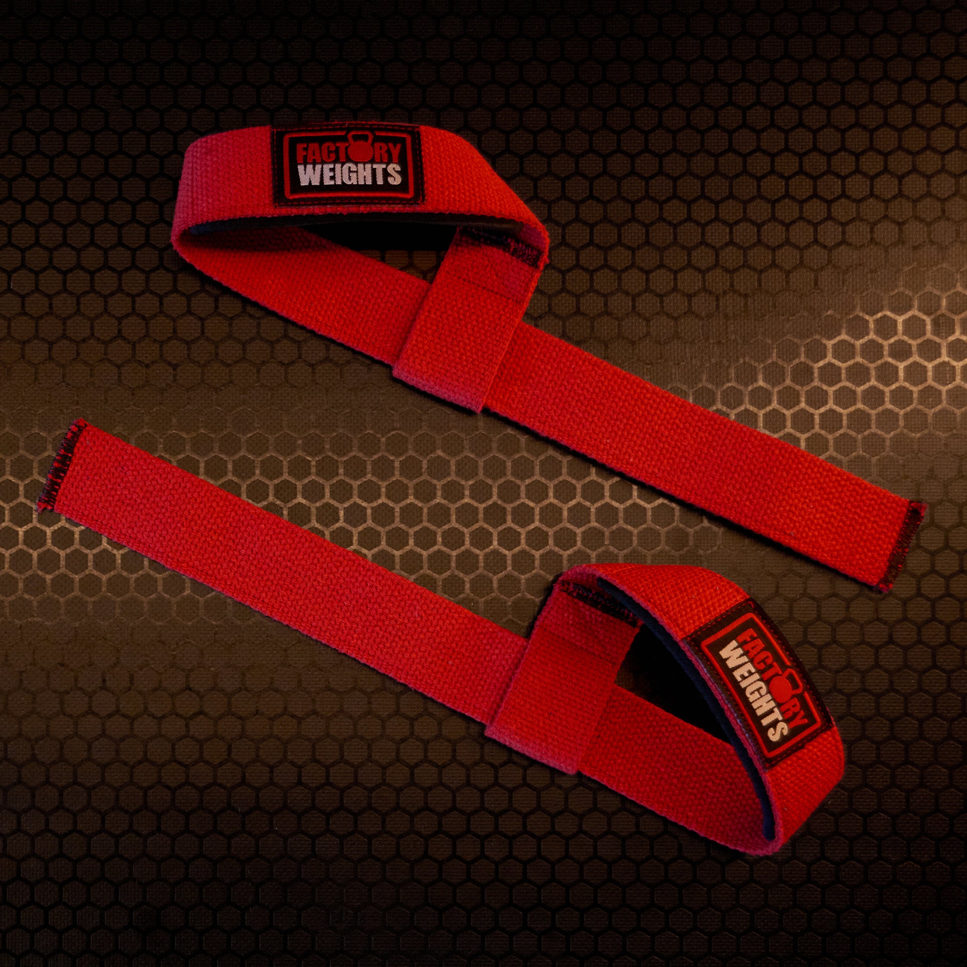 FW1 Lifting Straps 