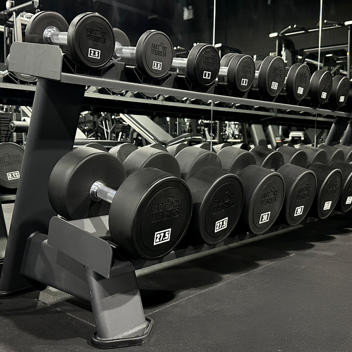 Commercial Urethane Dumbbells (Pair)