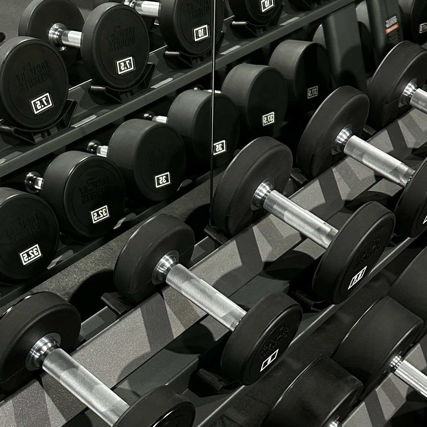 Commercial Urethane Dumbbells (Pair)