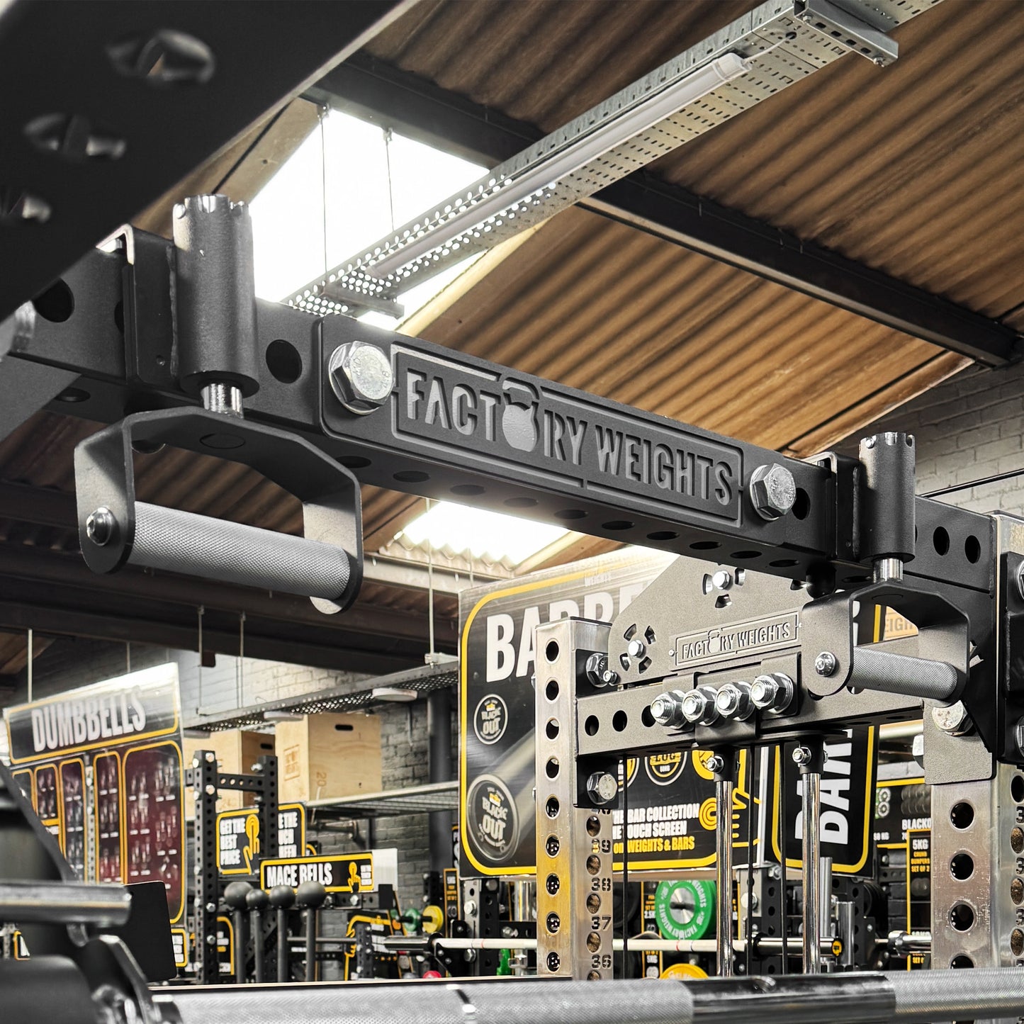 Adjustable Pull Up Handles