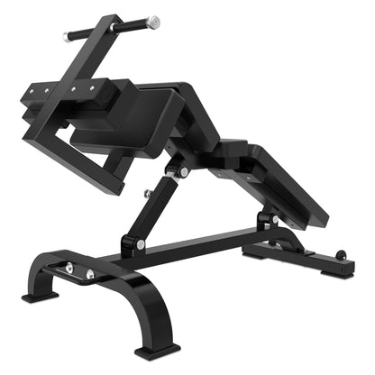 Apex Series Adjustable Ab Bench