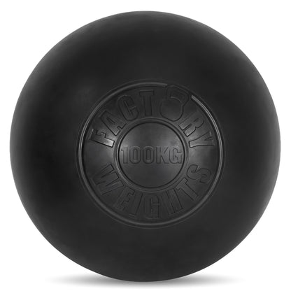 Factory Weights Rubber Atlas Stones 100kg 