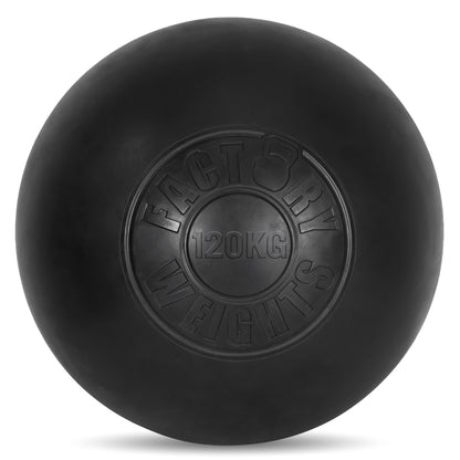 Factory Weights Rubber Atlas Stones 120kg 