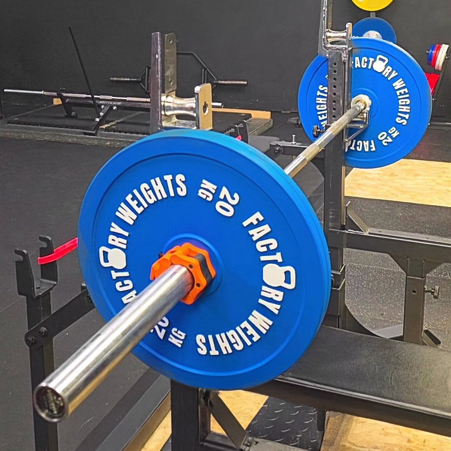 Factory Weights Calibrated Plates V2 (Pair)