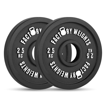 Factory Weights Calibrated Plates V2 (Pair)