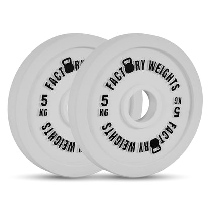 Factory Weights Calibrated Plates V2 (Pair)