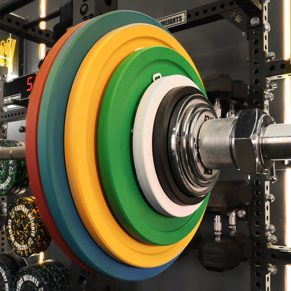 Factory Weights Calibrated Plates V2 (Pair)