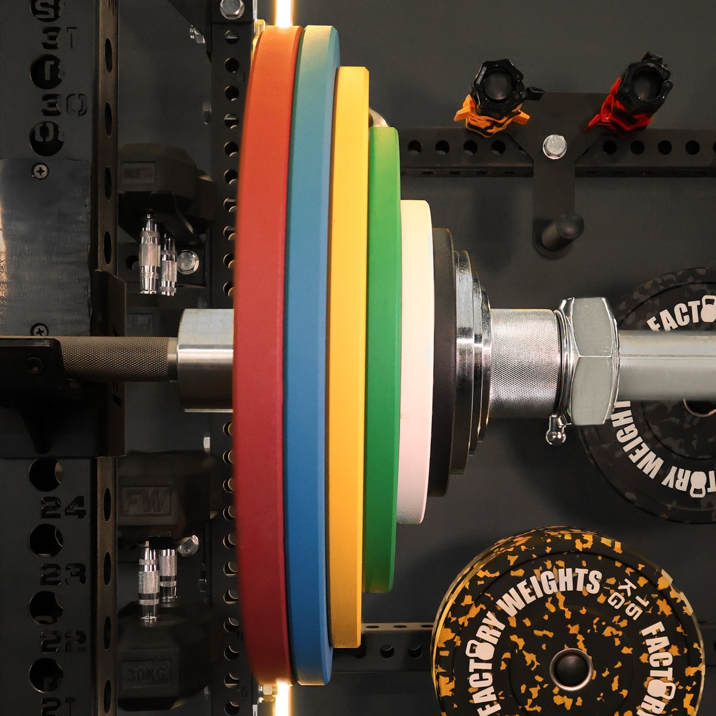 Factory Weights Calibrated Plates V2 (Pair)