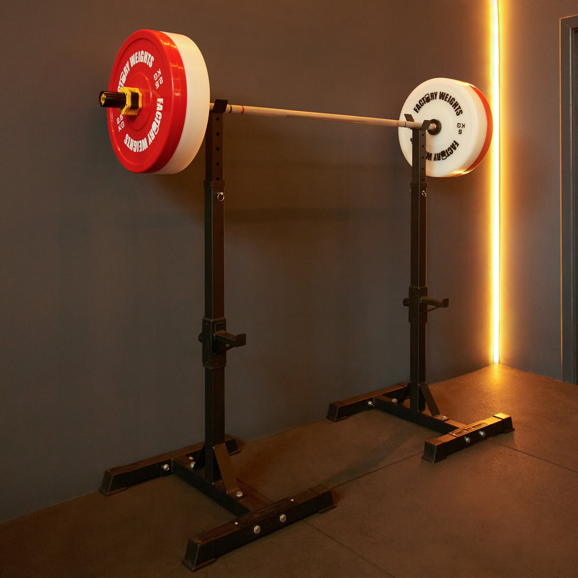 FW1 Squat Stands 
