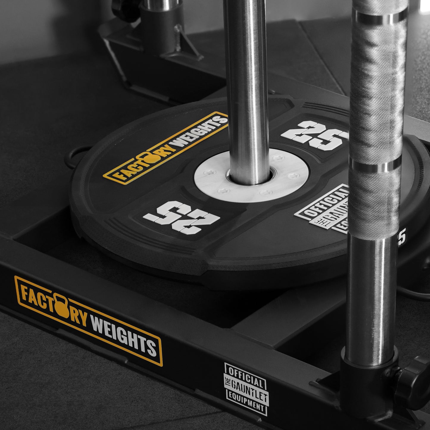 Hybrid Racing 25kg Sled Plate
