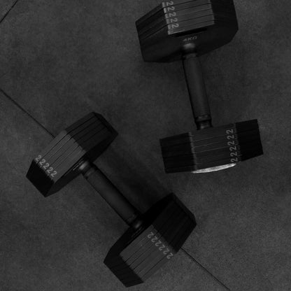 Nexus Adjustable Dumbbells x2