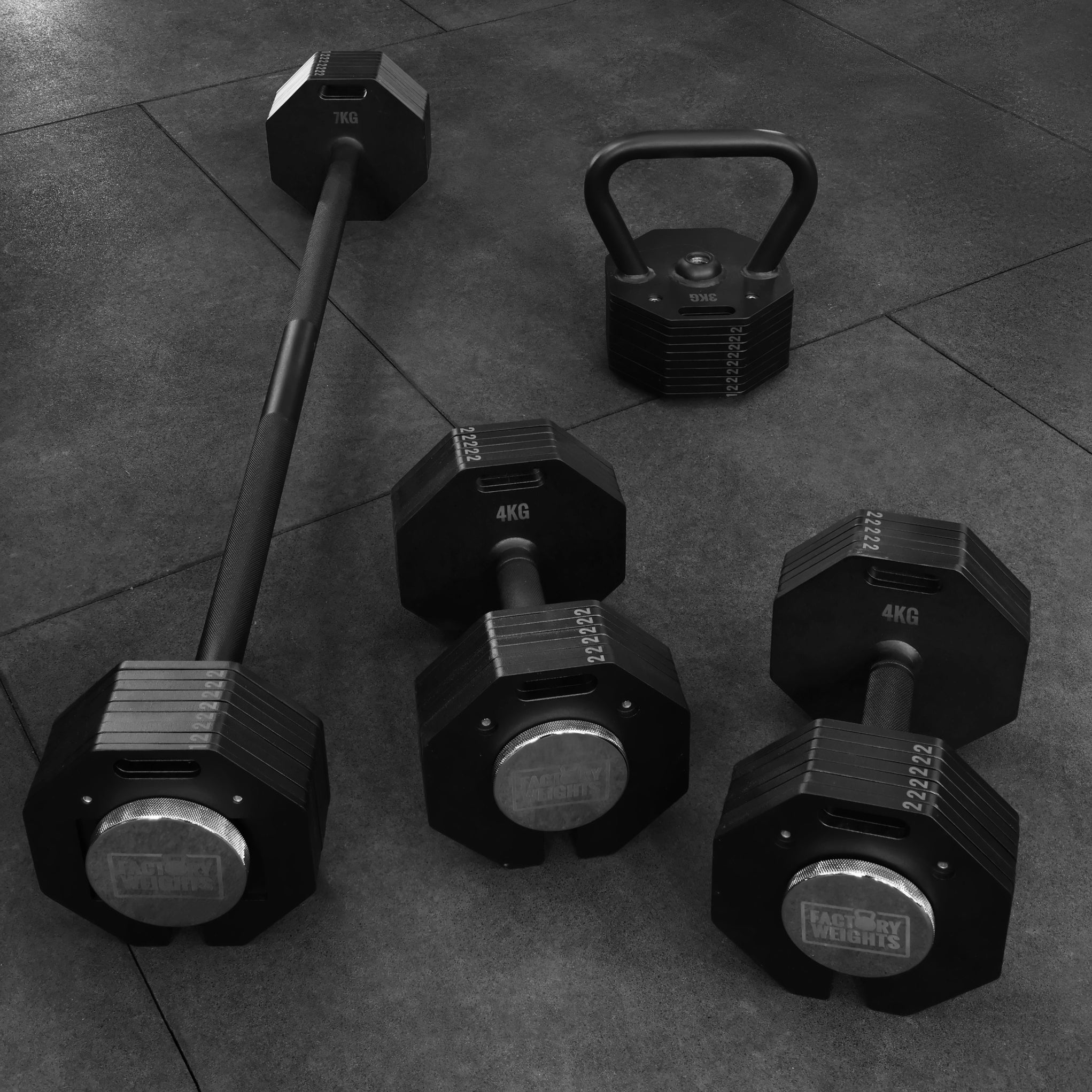 Nexus Adjustable Dumbbells x2
