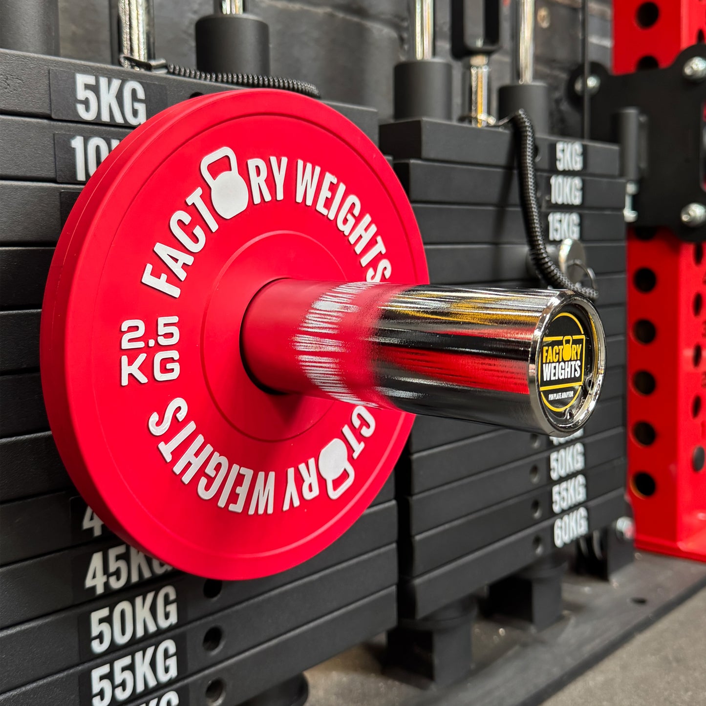 Gym Plate Pin Adapter