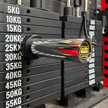 Gym Plate Pin Adapter