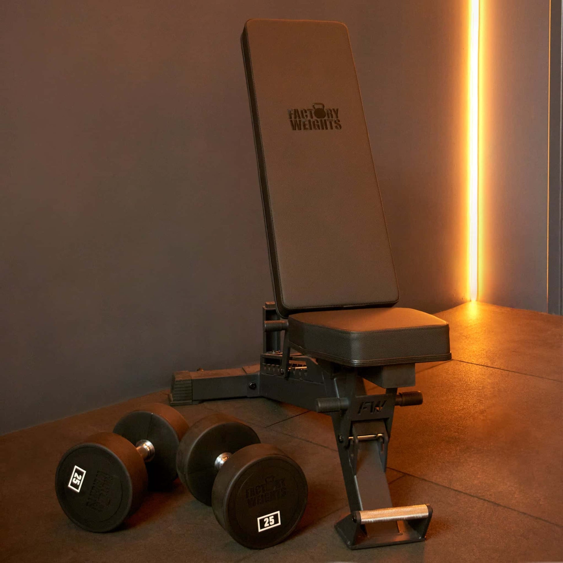 Pro Adjustable Bench 