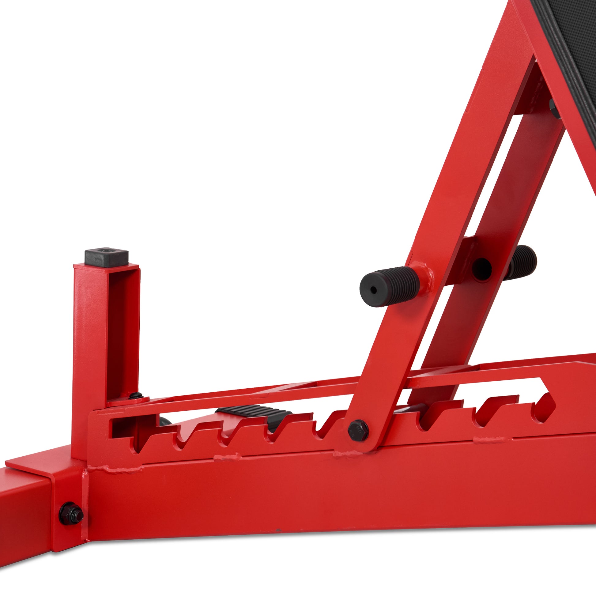 Pro Adjustable Bench 