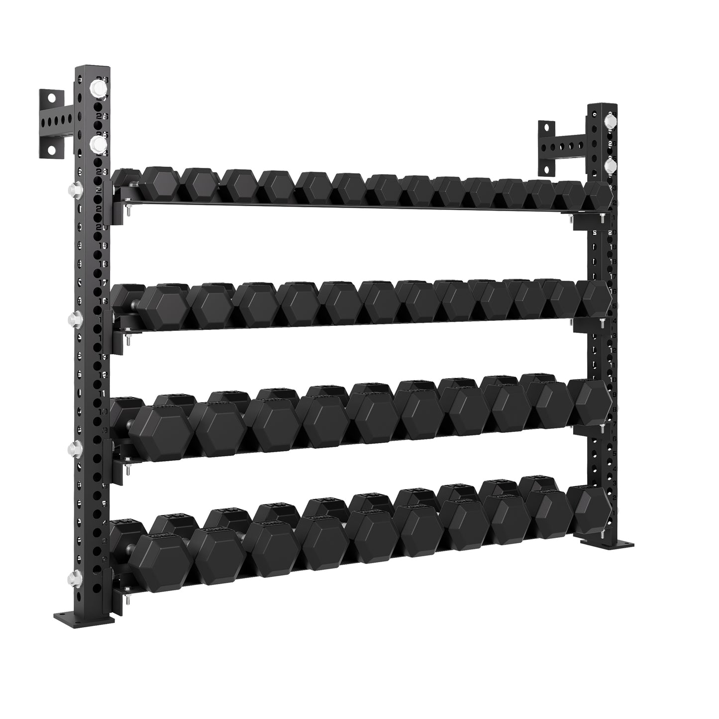 Pro Dumbbell Storage Rack